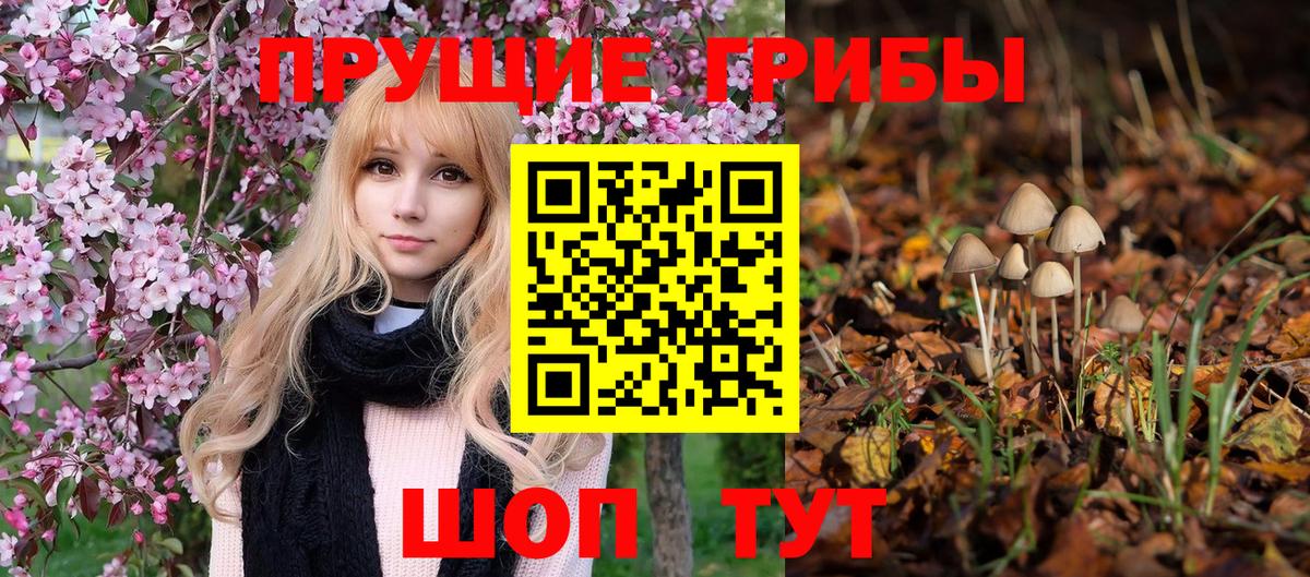 Псилоцибиновые грибы Psilocybe  Вход с VPN  Славянск-на-Кубани  Галлюциногенные грибы ЛСД 