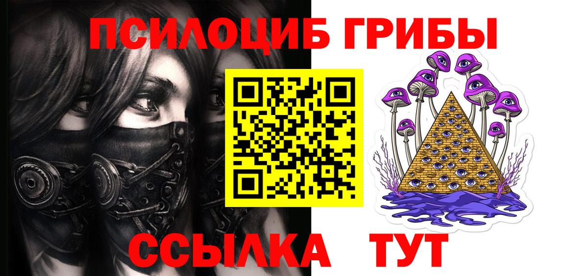 Галлюциногенные грибы Psilocybe Славянск-на-Кубани